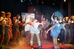 Slunce-seno-jahody-12025-foto34